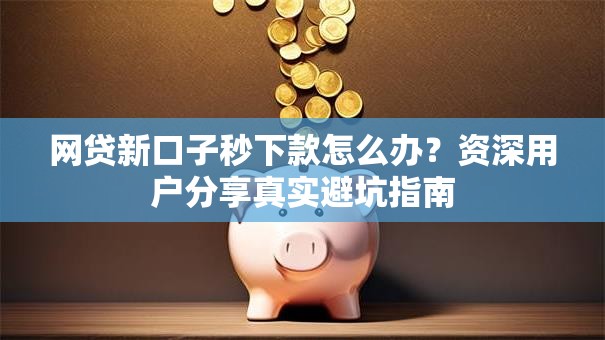 网贷新口子秒下款怎么办?资深用户分享真实避坑指南 网贷新口子秒下款怎么办?资深用户分享真实避坑指南