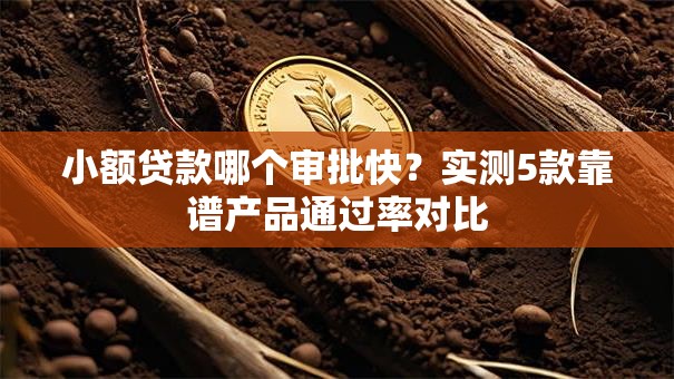 小额贷款哪个审批快？实测5款靠谱产品通过率对比