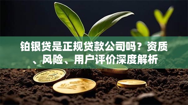 铂银贷是正规贷款公司吗?资质、风险、用户评价深度解析 铂银贷是正规贷款公司吗?资质、风险、用户评价深度解析