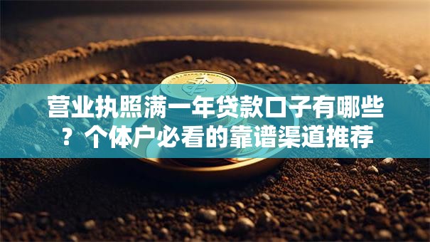 营业执照满一年贷款口子有哪些?个体户必看的靠谱渠道推荐 营业执照满一年贷款口子有哪些?个体户必看的靠谱渠道推荐