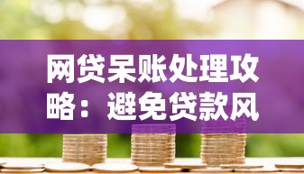 网贷呆账处理攻略：避免贷款风险并成功下款