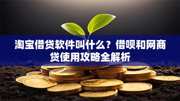 淘宝借贷软件叫什么？借呗和网商贷使用攻略全解析