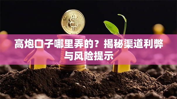 高炮口子哪里弄的?揭秘渠道利弊与风险提示 高炮口子哪里弄的?揭秘渠道利弊与风险提示