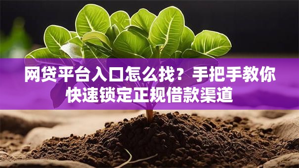 网贷平台入口怎么找？手把手教你快速锁定正规借款渠道