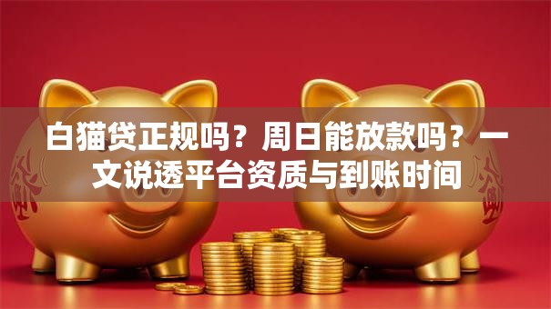 白猫贷正规吗？周日能放款吗？一文说透平台资质与到账时间