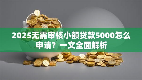 2025无需审核小额贷款5000怎么申请?一文全面解析 2025无需审核小额贷款5000怎么申请?一文全面解析