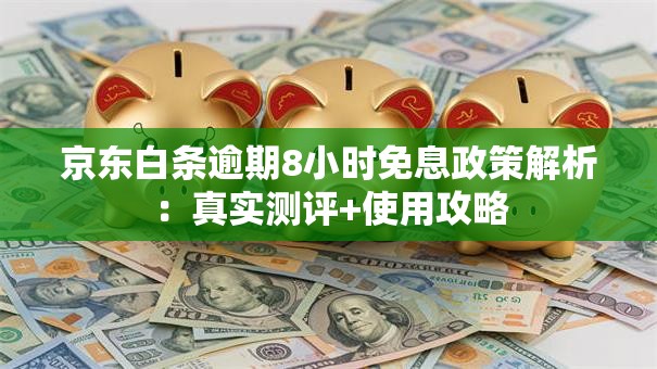 京东白条逾期8小时免息政策解析:真实测评+使用攻略 京东白条逾期8小时免息政策解析:真实测评+使用攻略