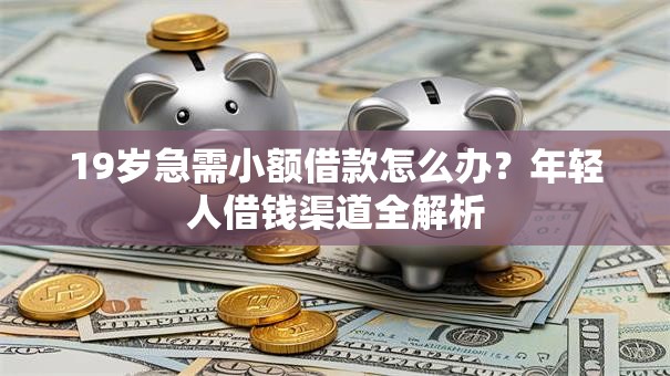 19岁急需小额借款怎么办?年轻人借钱渠道全解析 19岁急需小额借款怎么办?年轻人借钱渠道全解析