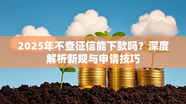 2025年不查征信能下款吗?深度解析新规与申请技巧 2025年不查征信能下款吗?深度解析新规与申请技巧