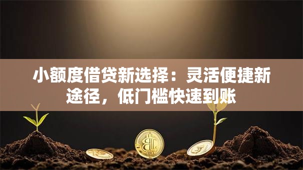 小额度借贷新选择:灵活便捷新途径,低门槛快速到账 小额度借贷新选择:灵活便捷新途径,低门槛快速到账