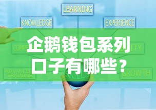 企鹅钱包系列口子有哪些?实测额度+灵活还款方案解析 企鹅钱包系列口子有哪些?实测额度+灵活还款方案解析