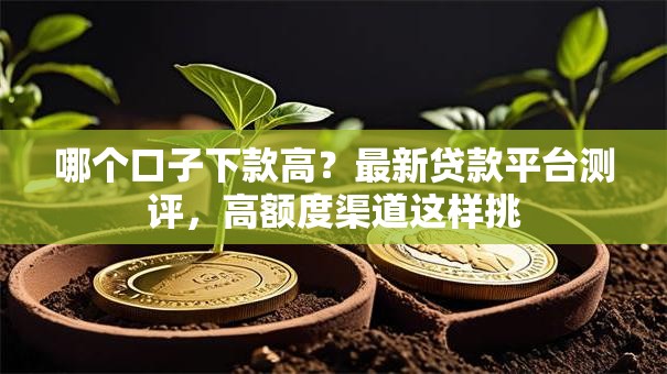 哪个口子下款高?最新贷款平台测评,高额度渠道这样挑 哪个口子下款高?最新贷款平台测评,高额度渠道这样挑