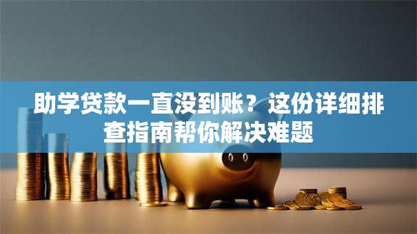 助学贷款一直没到账？这份详细排查指南帮你解决难题