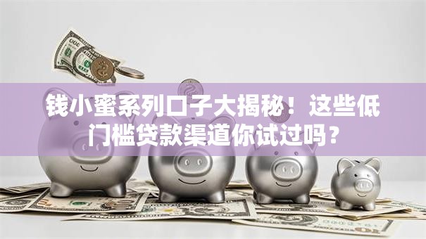钱小蜜系列口子大揭秘!这些低门槛贷款渠道你试过吗? 钱小蜜系列口子大揭秘!这些低门槛贷款渠道你试过吗?