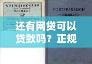 还有网贷可以贷款吗？正规平台选择与避坑指南