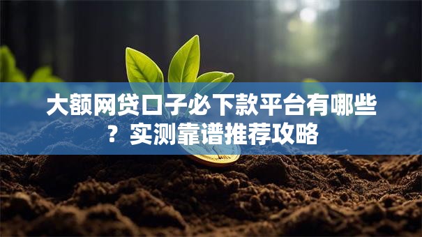 大额网贷口子必下款平台有哪些？实测靠谱推荐攻略