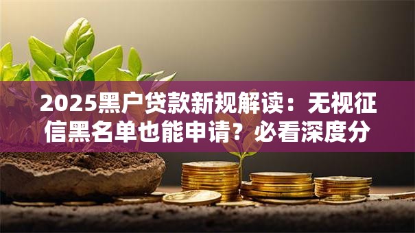2025黑户贷款新规解读:无视征信黑名单也能申请?必看深度分析 2025黑户贷款新规解读:无视征信黑名单也能申请?必看深度分析