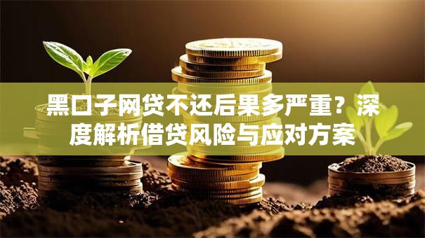 黑口子网贷不还后果多严重?深度解析借贷风险与应对方案 黑口子网贷不还后果多严重?深度解析借贷风险与应对方案