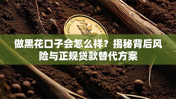 做黑花口子会怎么样？揭秘背后风险与正规贷款替代方案