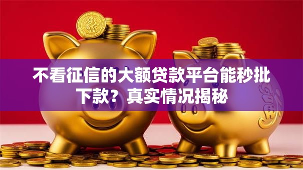 不看征信的大额贷款平台能秒批下款？真实情况揭秘