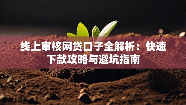 线上审核网贷口子全解析：快速下款攻略与避坑指南