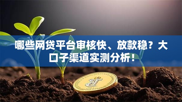 哪些网贷平台审核快、放款稳？大口子渠道实测分析！