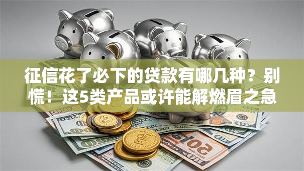 征信花了必下的贷款有哪几种？别慌！这5类产品或许能解燃眉之急