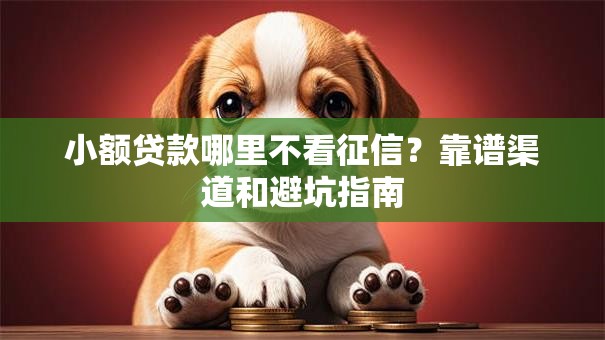 小额贷款哪里不看征信？靠谱渠道和避坑指南