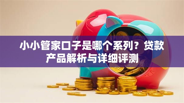 小小管家口子是哪个系列？贷款产品解析与详细评测