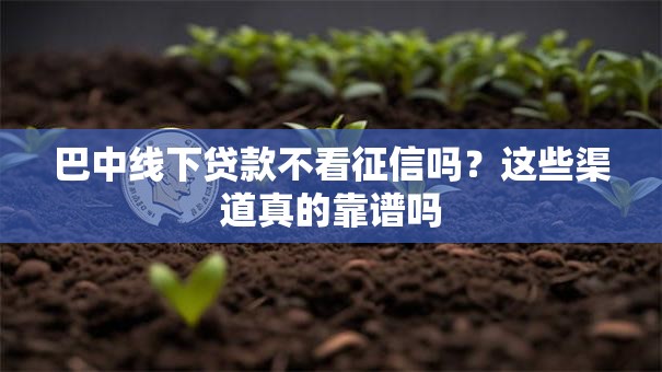 巴中线下贷款不看征信吗?这些渠道真的靠谱吗 巴中线下贷款不看征信吗?这些渠道真的靠谱吗