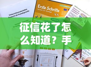 征信花了怎么知道？手把手教你自查方法+修复技巧