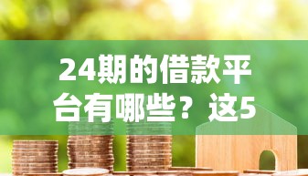24期的借款平台有哪些？这5家正规分期渠道真实测评