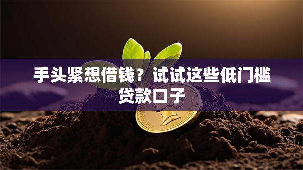 手头紧想借钱？试试这些低门槛贷款口子