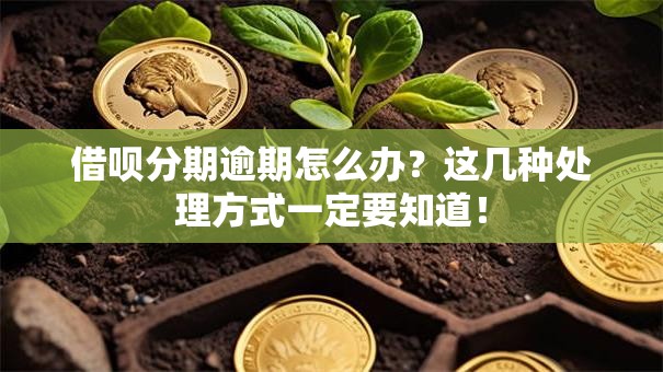 借呗分期逾期怎么办？这几种处理方式一定要知道！