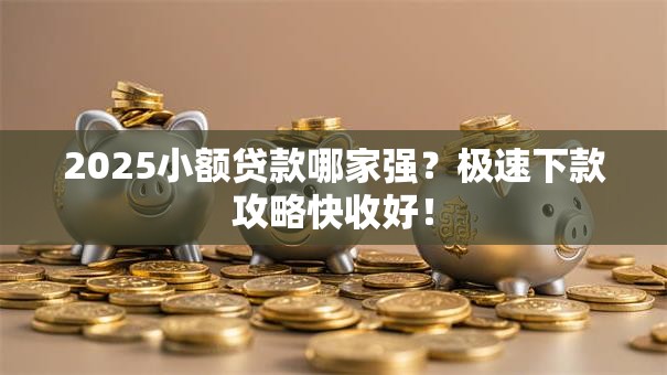 2025小额贷款哪家强？极速下款攻略快收好！