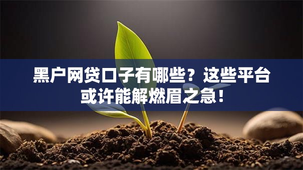 黑户网贷口子有哪些?这些平台或许能解燃眉之急! 黑户网贷口子有哪些?这些平台或许能解燃眉之急!