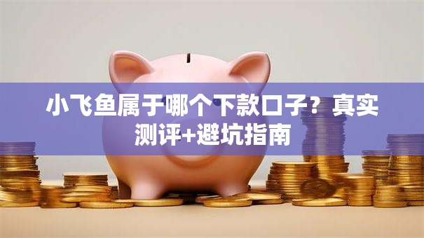 小飞鱼属于哪个下款口子？真实测评+避坑指南