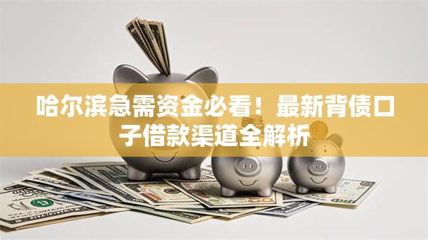 哈尔滨急需资金必看！最新背债口子借款渠道全解析