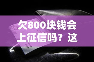 欠800块钱会上征信吗?这些细节必须注意 欠800块钱会上征信吗?这些细节必须注意