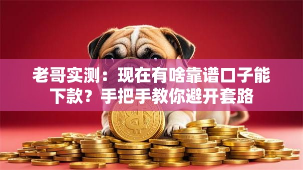 老哥实测:现在有啥靠谱口子能下款?手把手教你避开套路 老哥实测:现在有啥靠谱口子能下款?手把手教你避开套路