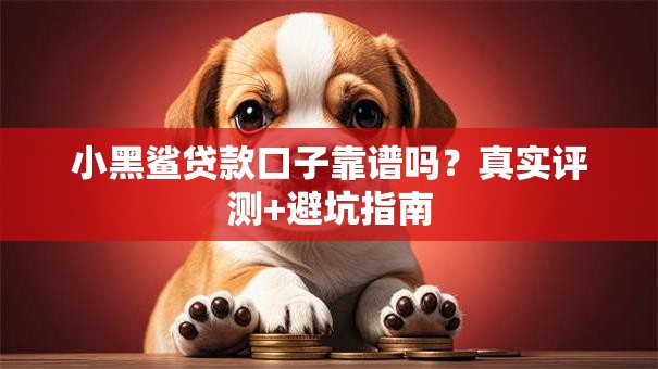 小黑鲨贷款口子靠谱吗?真实评测+避坑指南 小黑鲨贷款口子靠谱吗?真实评测+避坑指南