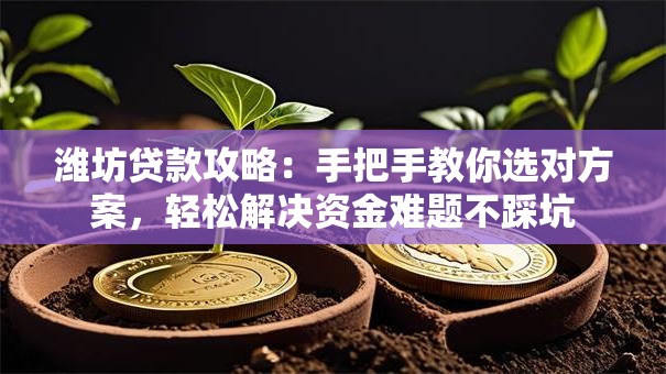 潍坊贷款攻略：手把手教你选对方案，轻松解决资金难题不踩坑