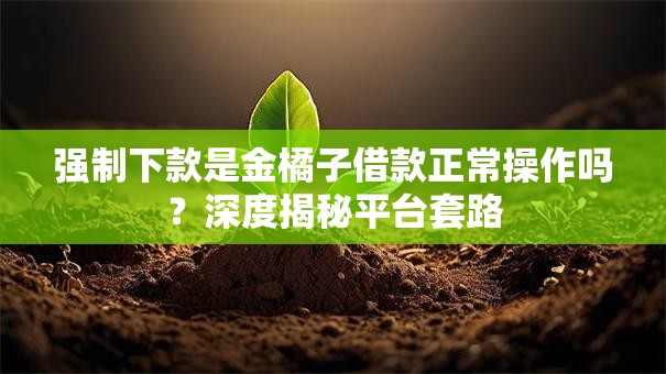 强制下款是金橘子借款正常操作吗？深度揭秘平台套路