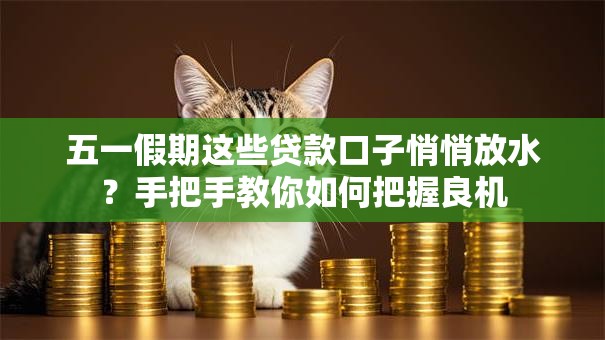 五一假期这些贷款口子悄悄放水？手把手教你如何把握良机