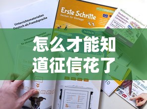 怎么才能知道征信花了？三步自查技巧+避坑指南