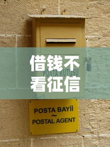 借钱不看征信的软件靠谱吗?深度解析使用风险与替代方案 借钱不看征信的软件靠谱吗?深度解析使用风险与替代方案