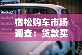 宿松购车市场调查:贷款买车避坑指南,这些细节别忽略! 宿松购车市场调查:贷款买车避坑指南,这些细节别忽略!