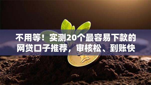 不用等！实测20个最容易下款的网贷口子推荐，审核松、到账快