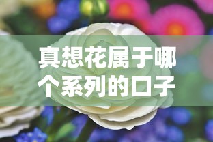 真想花属于哪个系列的口子？深度解析+靠谱推荐