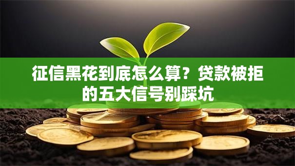 征信黑花到底怎么算？贷款被拒的五大信号别踩坑